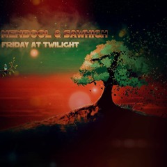 mendool & Sawhigh - Friday At Twilight