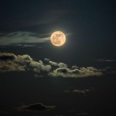 VSNRY- PAIN=BESTFRIEND (Cover)