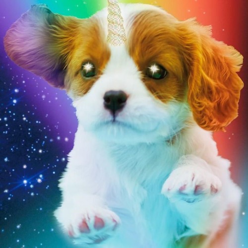 Stream Rainbow Dog Battle by Vav | Listen online for free on SoundCloud