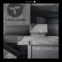 PREMIERE: Taelimb - Ruff Stuff (Rebel Music)
