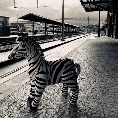 Zoo Party - Vol. IV