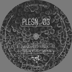 RafMTK & ErykkMTK - 5D [Pleśń 03]