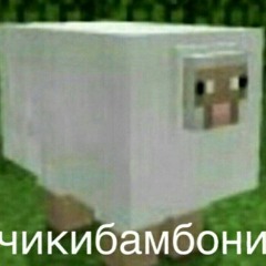 Чикибамбони все виды
