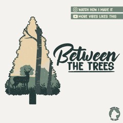 Between The Trees - [Chill Acoustic Guitar Type Beat]