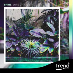 PREMIERE: Brine - More Than U Know [Trend]