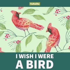 I Wish I Were A Bird（Lofi HipHop）