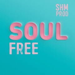 SHM Beats  - Free Soul (Drum N Bass Light)