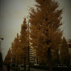 Warmth In The Withering Of Trees