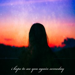 i hope to see you again someday