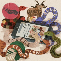 Magic Mirror (Sandy Alex G cover)