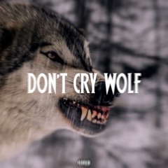 14.WHERE THE WOLVES GO AT NIGHT