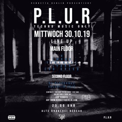 valentin void @ DEPOT (Alte Brauerei Dessau) // P.L.U.R. // 30.10.19