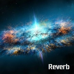 Reverb 12
