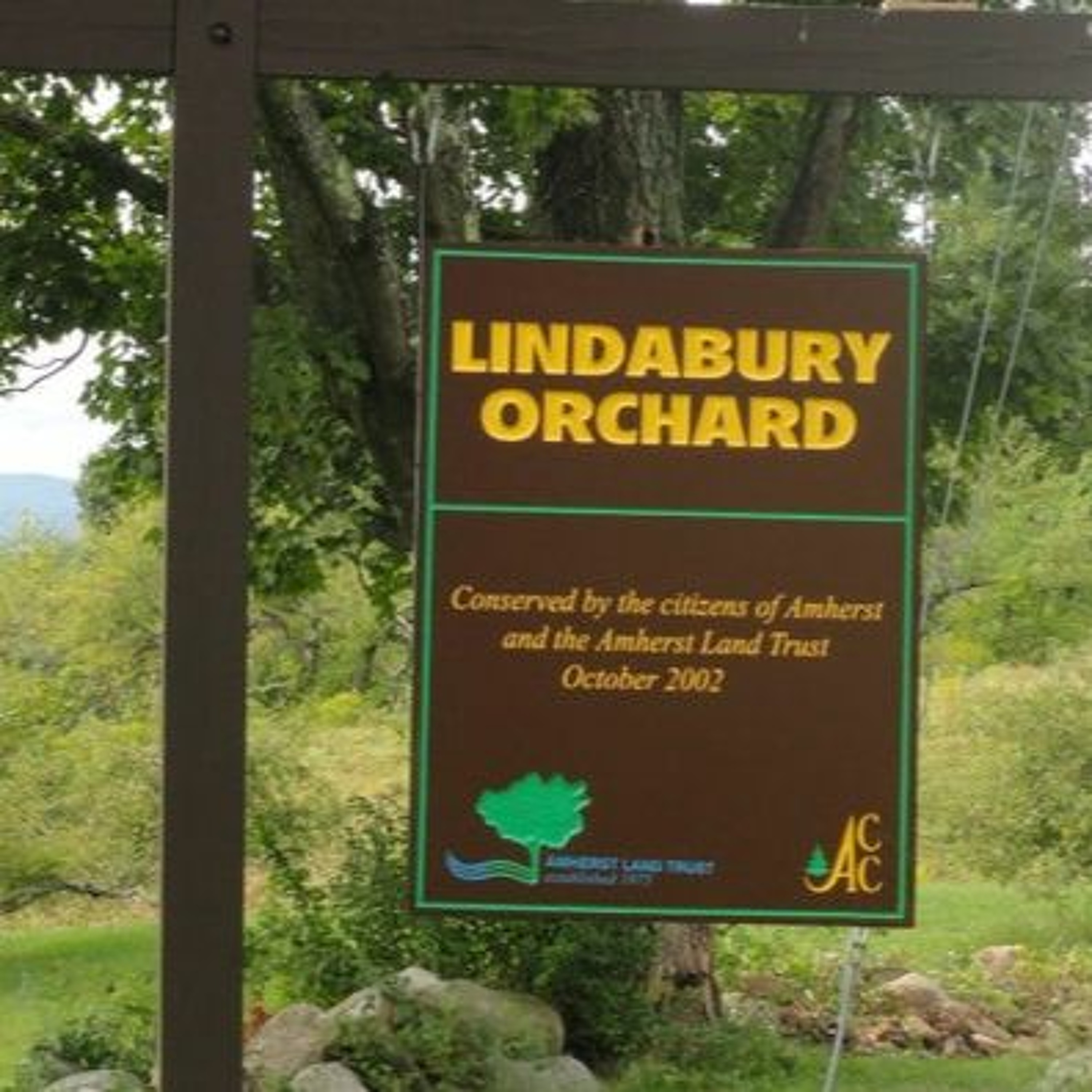 #1 Lindabury Orchard