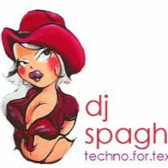 DJ Spaghetti - GIS (is More Fun Than Beer)