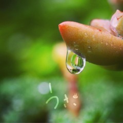 気になるあの娘(cover)