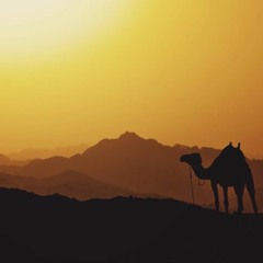 Arabian Adventure (Progressive & Melodic House mix).WAV