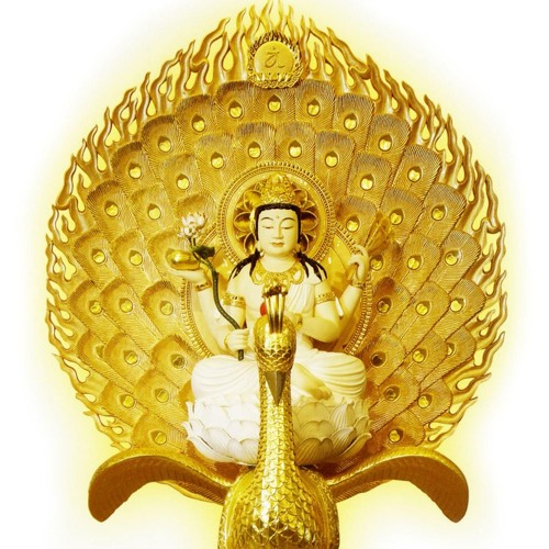 Stream 佛母大金曜孔雀明王心咒by Namoamitabha Listen Online For Free On Soundcloud Stream 佛母大金曜孔雀明王心咒by Namoamitabha Listen Online For Free On Soundcloud
