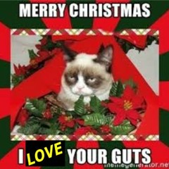 Christmas - I Love Its Guts
