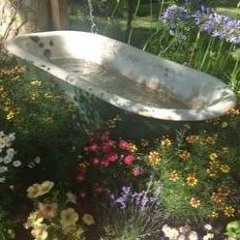 if i die, my journal is under the bed