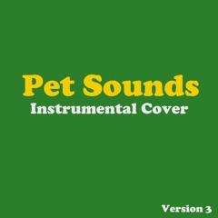 Stream Connor Gardner Listen To Pet Sounds Instrumental Cover Version 3 Playlist Online For Free On Soundcloud