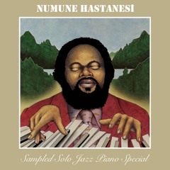 NUMUNE HASTANESI #42 Sampled Solo Jazz Piano