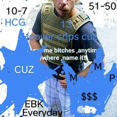 lYnCh'DuP madesic
