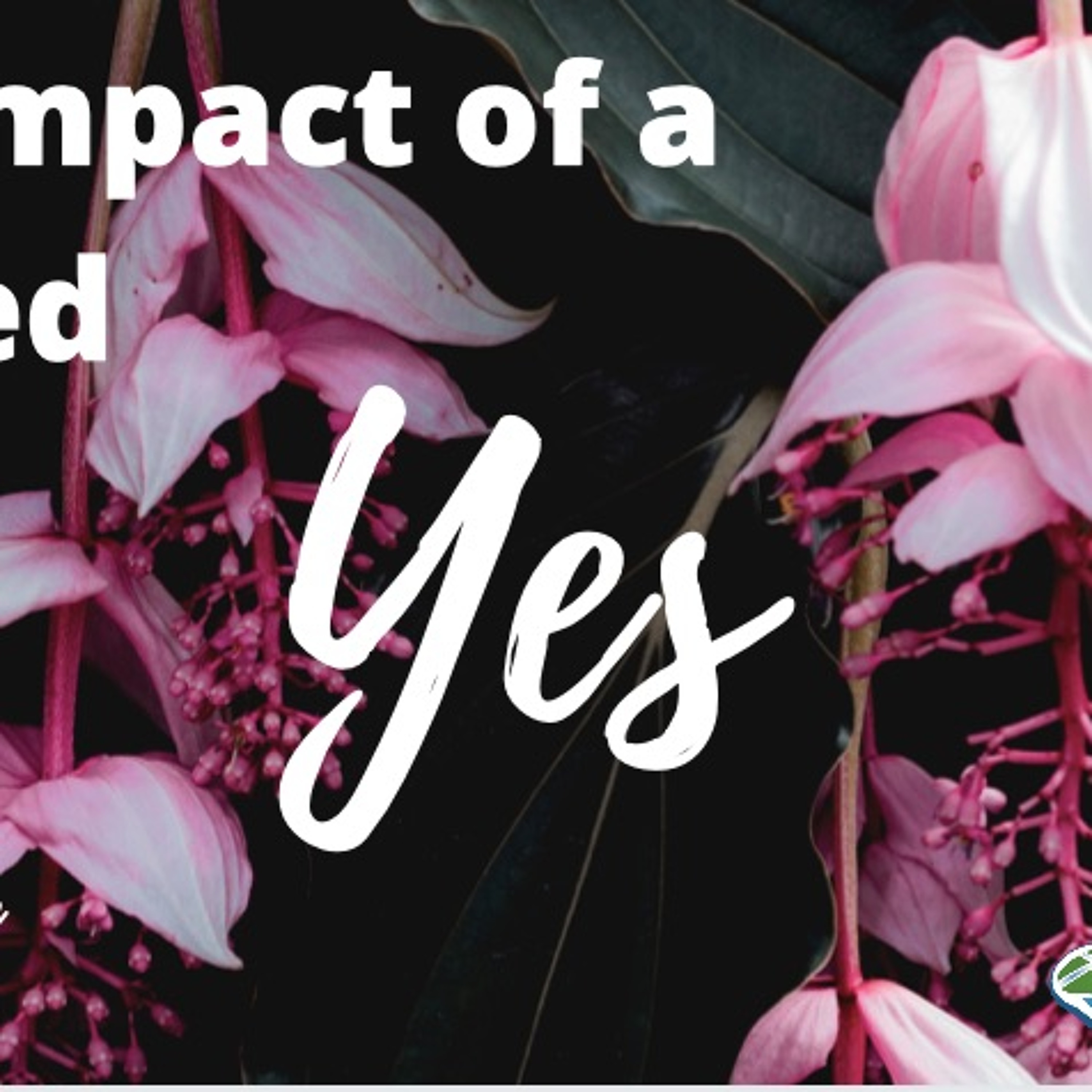 2019-12-15 Sandra Alpe: The Impact of a Shared Yes episode artwork