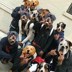 Stank Stankk - Make a Flip