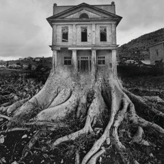 BACK TO MY HOUSE ROOTS