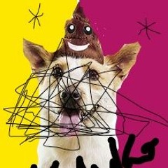 Sheeit (Prod. ColeTheKing)