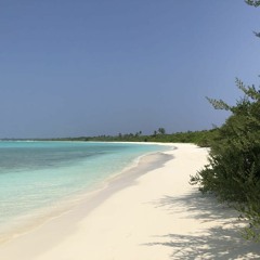 Yaara Hinithun Veema