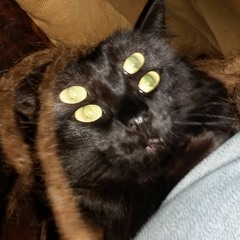 Live Tribe Tribetek Hardtekno With Digitakt, Behringer K2 And Craft Synth V2