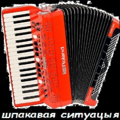 Шпаковая Ситуация (feat. Wipo)