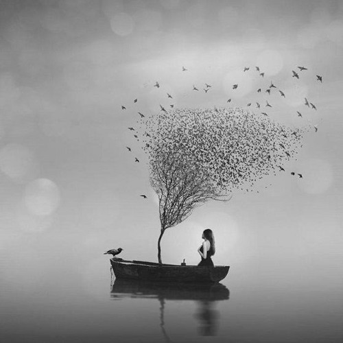 Stevie Restless - Melodic techno picks (early morning dj set)