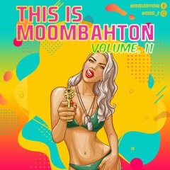 This is Moombahton Vol. 11 mixed by Wessel S