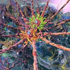 Jeune Faune - The Sky Is Empty