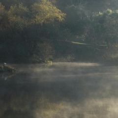 Orphée et les chemins l'intime hâte