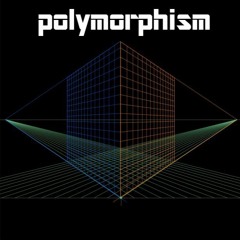 Polymorphism (4am)