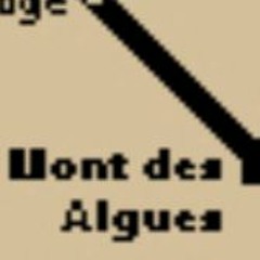 Ligne 20: Château D'Oex - Mont Des Algues