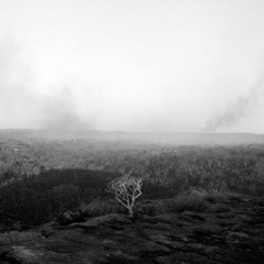 Farewell Song (demo)