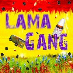 Lama Gang 2 ft. Malo Pivo