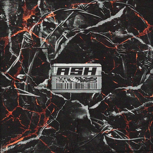ASH [ prod. muppy ]
