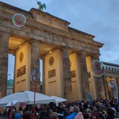 Endrew b2b Aseptic for 6000Sardine @Brandenburgertor in Berlin