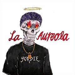 LA AUREOLA - $NOT