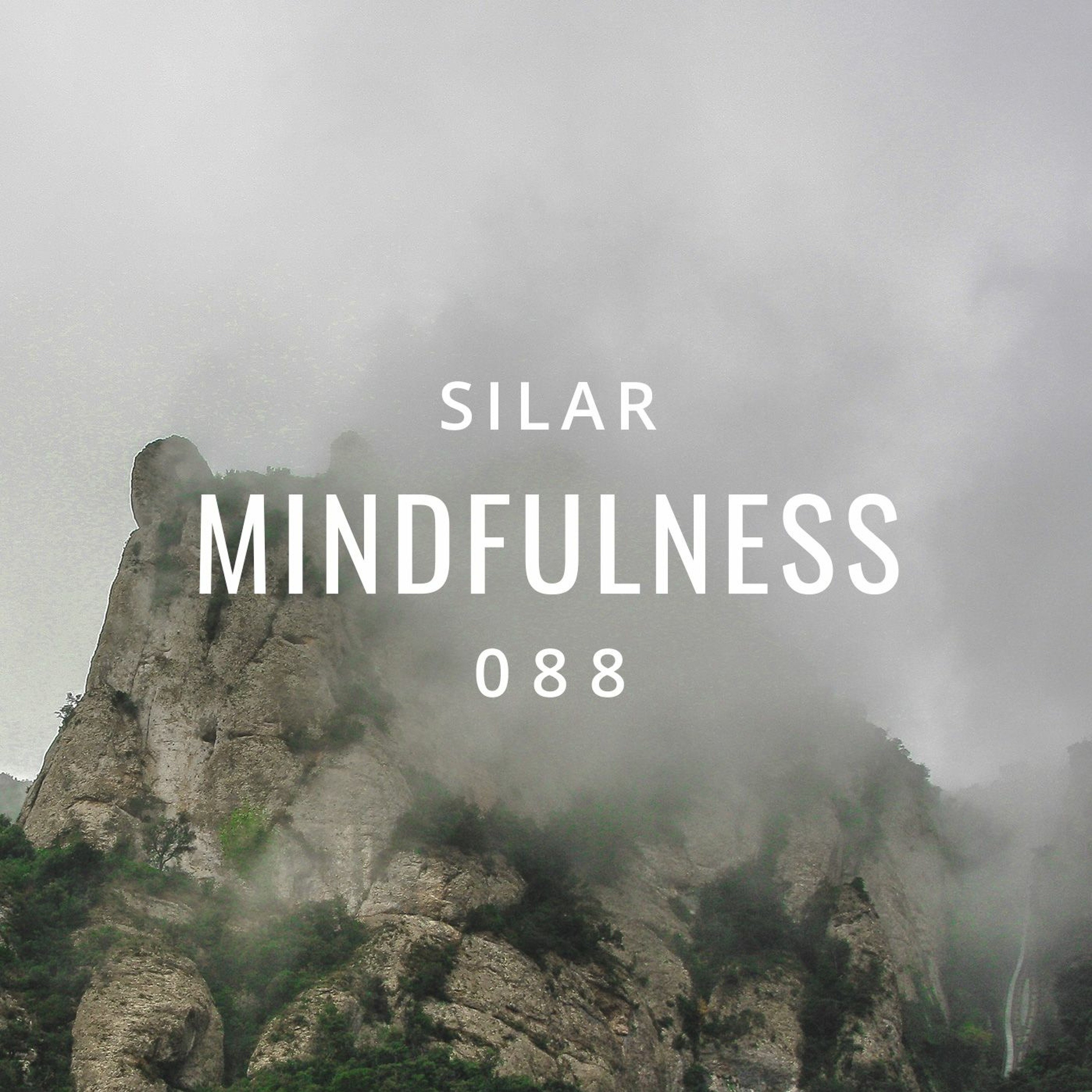 Mindfulness