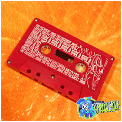THE FUCKDEST JAMS (SIDE B)