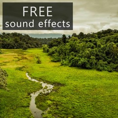MAFX2019 Holiday Freebies Demo
