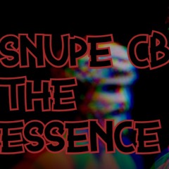Snupe CB - The Essence