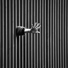 масло чёрного тмина - чдтк (slow and scretch)